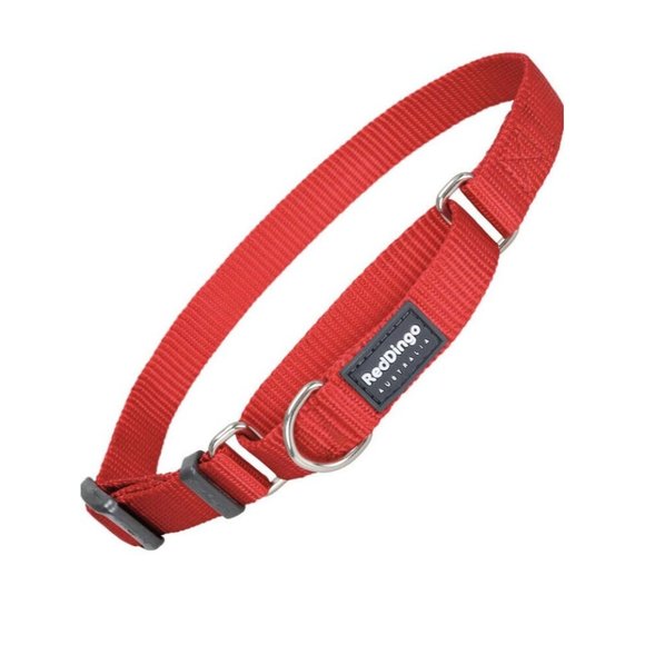 RED DINGO CLASSIC DOG COLLAR, LARGE - Picture 1 of 3